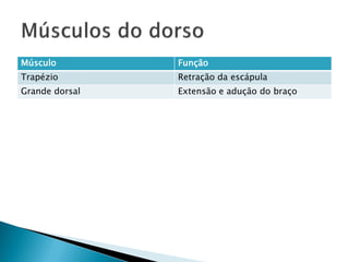 Músculo         Função
Trapézio        Retração da escápula
Grande dorsal   Extensão e adução do braço
 