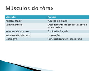 Músculos                Função
Peitoral maior          Adução do braço
Serrátil anterior       Deslizamento da escápula sobre a
                        caixa torácica
Intercostais internos   Expiração forçada
Intercostais externos   Inspiração
Diafragma               Principal músculo inspiratório
 