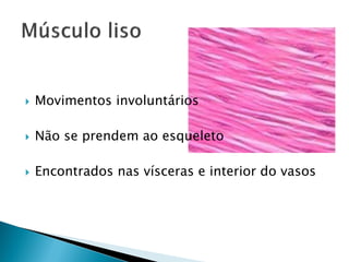    Movimentos involuntários

   Não se prendem ao esqueleto

   Encontrados nas vísceras e interior do vasos
 