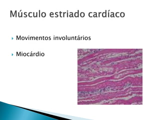    Movimentos involuntários

   Miocárdio
 