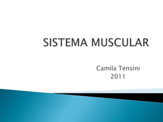 Camila Tensini
   2011
 