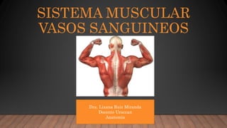 SISTEMA MUSCULAR
VASOS SANGUINEOS
Dra. Lixana Ruiz Miranda
Docente Uraccan
Anatomia
 