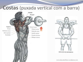 Costas (puxada vertical com a barra)




                         www.educadorfisico.wordpress.com
 