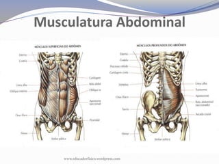 Musculatura Abdominal




    www.educadorfisico.wordpress.com
 