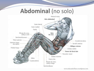 Abdominal (no solo)




               www.educadorfisico.wordpress.com
 