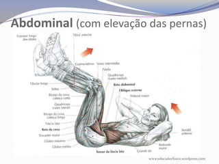 Abdominal (com elevação das pernas)




                        www.educadorfisico.wordpress.com
 
