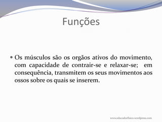 Funções


 Os músculos são os orgãos ativos do movimento,
  com capacidade de contrair-se e relaxar-se; em
  consequência, transmitem os seus movimentos aos
  ossos sobre os quais se inserem.




                                  www.educadorfisico.wordpress.com
 
