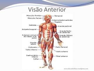 Visão Anterior




             www.educadorfisico.wordpress.com
 