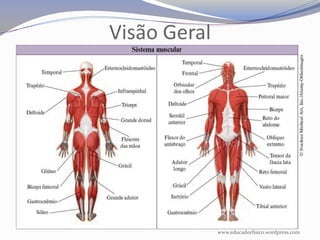 Visão Geral




              www.educadorfisico.wordpress.com
 