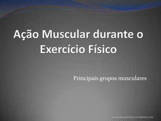 Principais grupos musculares




              www.educadorfisico.wordpress.com
 