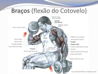 Braços (flexão do Cotovelo)




                     www.educadorfisico.wordpress.com
 