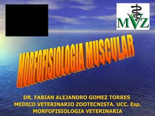 DR. FABIAN ALEJANDRO GOMEZ TORRES  MEDICO VETERINARIO ZOOTECNISTA. UCC. Esp. MORFOFISIOLOGIA VETERINARIA MORFOFISIOLOGIA MUSCULAR 