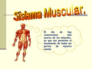 El día de hoy
conoceremos más
acerca de los músculos,
ya que nos permiten el
movimiento de todas las
partes de nuestro
cuerpo
 