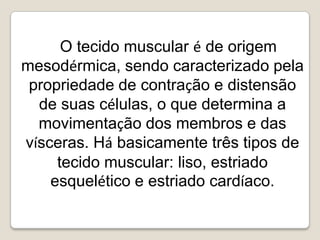 O tecido muscular é de origem mesodérmica, sendo caracterizado pela propriedade de contração e distensão de suas células, o que determina a movimentação dos membros e das vísceras. Há basicamente três tipos de tecido muscular: liso, estriado esquelético e estriado cardíaco.