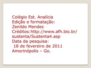 Colégio Est. AnalíciaEdição e formatação: Zenildo MendesCréditos:http://www.afh.bio.br/sustenta/Sustenta4.aspData da pesquisa: 18 de fevereiro de 2011Amorinópolis – Go.