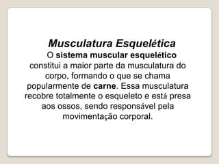 Musculatura EsqueléticaO sistema muscular esquelético constitui a maior parte da musculatura do corpo, formando o que se chama popularmente de carne. Essa musculatura recobre totalmente o esqueleto e está presa aos ossos, sendo responsável pela movimentação corporal.