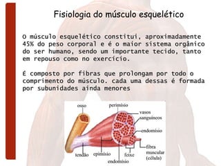 O músculo esquelético constitui, aproximadamente 45% do peso corporal e é o maior sistema orgânico do ser humano, sendo um importante tecido, tanto em repouso como no exercício. É composto por fibras que prolongam por todo o comprimento do músculo. cada uma dessas é formada por subunidades ainda menores   Fisiologia do músculo esquelético 