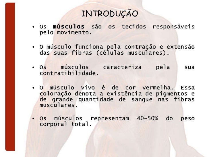 INTRODUÇÃO <ul><li>Os  músculos  são os tecidos responsáveis pelo movimento.  </li></ul><ul><li>O músculo funciona pela co...