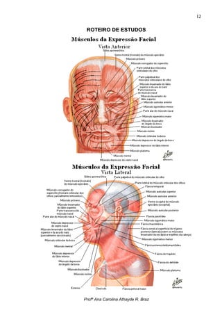 12


 ROTEIRO DE ESTUDOS




Profª Ana Carolina Athayde R. Braz
 