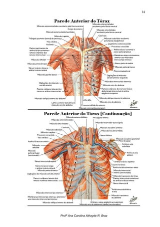 14




Profª Ana Carolina Athayde R. Braz
 