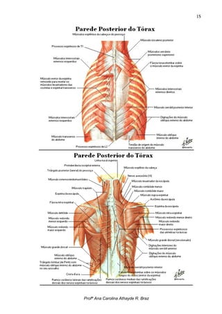 15




Profª Ana Carolina Athayde R. Braz
 