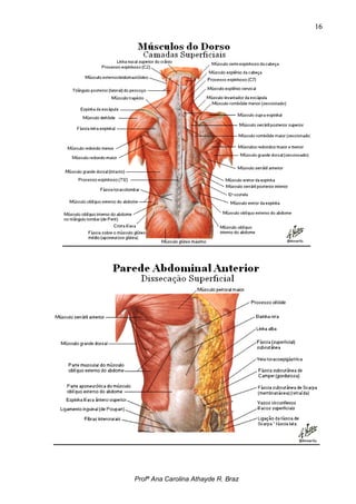 16




Profª Ana Carolina Athayde R. Braz
 