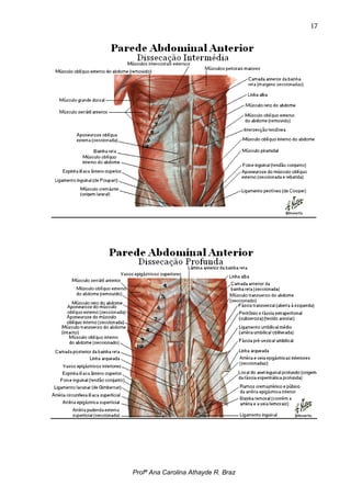 17




Profª Ana Carolina Athayde R. Braz
 