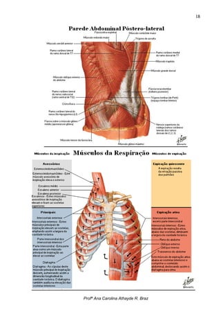 18




Profª Ana Carolina Athayde R. Braz
 