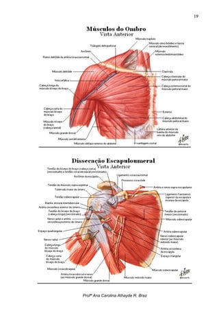 19




Profª Ana Carolina Athayde R. Braz
 