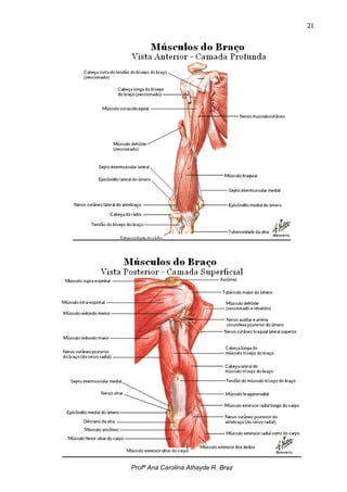 21




Profª Ana Carolina Athayde R. Braz
 