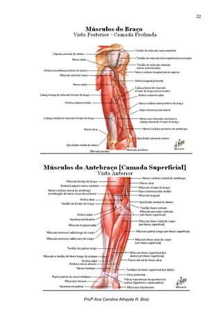 22




Profª Ana Carolina Athayde R. Braz
 