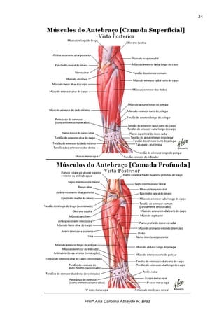 24




Profª Ana Carolina Athayde R. Braz
 