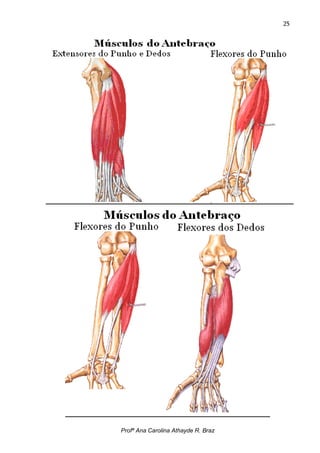 25




Profª Ana Carolina Athayde R. Braz
 