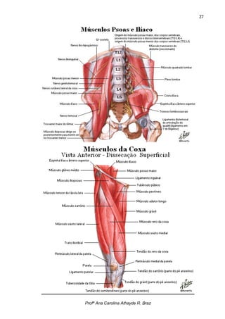 27




Profª Ana Carolina Athayde R. Braz
 