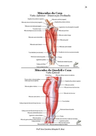 28




Profª Ana Carolina Athayde R. Braz
 