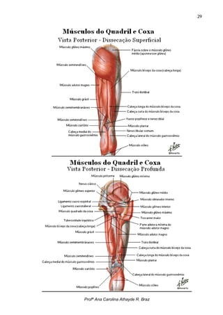 29




Profª Ana Carolina Athayde R. Braz
 
