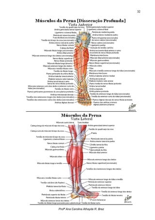 32




Profª Ana Carolina Athayde R. Braz
 