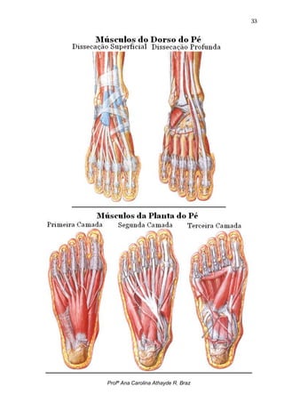 33




Profª Ana Carolina Athayde R. Braz
 