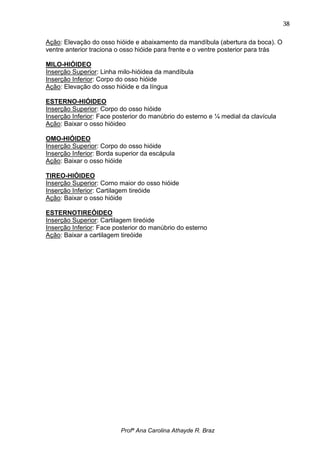 38

Ação: Elevação do osso hióide e abaixamento da mandíbula (abertura da boca). O
ventre anterior traciona o osso hióide para frente e o ventre posterior para trás

MILO-HIÓIDEO
Inserção Superior: Linha milo-hióidea da mandíbula
Inserção Inferior: Corpo do osso hióide
Ação: Elevação do osso hióide e da língua

ESTERNO-HIÓIDEO
Inserção Superior: Corpo do osso hióide
Inserção Inferior: Face posterior do manúbrio do esterno e ¼ medial da clavícula
Ação: Baixar o osso hióideo

OMO-HIÓIDEO
Inserção Superior: Corpo do osso hióide
Inserção Inferior: Borda superior da escápula
Ação: Baixar o osso hióide

TIREO-HIÓIDEO
Inserção Superior: Corno maior do osso hióide
Inserção Inferior: Cartilagem tireóide
Ação: Baixar o osso hióide

ESTERNOTIREÓIDEO
Inserção Superior: Cartilagem tireóide
Inserção Inferior: Face posterior do manúbrio do esterno
Ação: Baixar a cartilagem tireóide




                          Profª Ana Carolina Athayde R. Braz
 