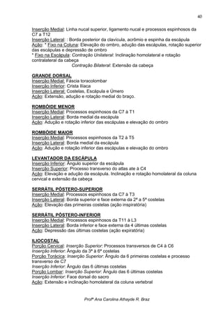 40

Inserção Medial: Linha nucal superior, ligamento nucal e processos espinhosos da
C7 a T12
Inserção Lateral: : Borda posterior da clavícula, acrômio e espinha da escápula
Ação: * Fixo na Coluna: Elevação do ombro, adução das escápulas, rotação superior
das escápulas e depressão de ombro
* Fixo na Escápula: Contração Unilateral: Inclinação homolateral e rotação
contralateral da cabeça
                     Contração Bilateral: Extensão da cabeça

GRANDE DORSAL
Inserção Medial: Fáscia toracolombar
Inserção Inferior: Crista Ilíaca
Inserção Lateral: Costelas, Escápula e Úmero
Ação: Extensão, adução e rotação medial do braço.

ROMBÓIDE MENOR
Inserção Medial: Processos espinhosos da C7 à T1
Inserção Lateral: Borda medial da escápula
Ação: Adução e rotação inferior das escápulas e elevação do ombro

ROMBÓIDE MAIOR
Inserção Medial: Processos espinhosos da T2 à T5
Inserção Lateral: Borda medial da escápula
Ação: Adução e rotação inferior das escápulas e elevação do ombro

LEVANTADOR DA ESCÁPULA
Inserção Inferior: Ângulo superior da escápula
Inserção Superior: Processo transverso do atlas ate à C4
Ação: Elevação e adução da escápula. Inclinação e rotação homolateral da coluna
cervical e extensão da cabeça

SERRÁTIL PÓSTERO-SUPERIOR
Inserção Medial: Processos espinhosos da C7 à T3
Inserção Lateral: Borda superior e face externa da 2ª a 5ª costelas
Ação: Elevação das primeiras costelas (ação inspiratória)

SERRÁTIL PÓSTERO-INFERIOR
Inserção Medial: Processos espinhosos da T11 à L3
Inserção Lateral: Borda inferior e face externa da 4 últimas costelas
Ação: Depressão das últimas costelas (ação expiratória)

ILIOCOSTAL
Porção Cervical: Inserção Superior: Processos transversos de C4 à C6
Inserção Inferior: Ângulo da 3ª à 6ª costelas
Porção Torácica: Inserção Superior: Ângulo da 6 primeiras costelas e processo
transverso de C7
Inserção Inferior: Ângulo das 6 últimas costelas
Porção Lombar: Inserção Superior: Ângulo das 6 últimas costelas
Inserção Inferior: Face dorsal do sacro
Ação: Extensão e inclinação homolateral da coluna vertebral


                          Profª Ana Carolina Athayde R. Braz
 