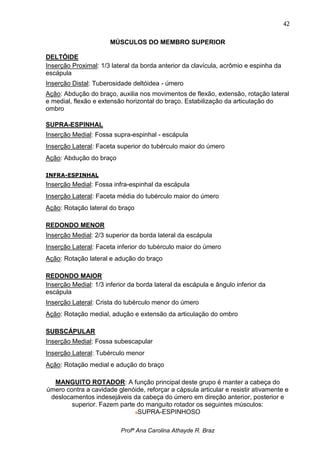 42

                       MÚSCULOS DO MEMBRO SUPERIOR

DELTÓIDE
Inserção Proximal: 1/3 lateral da borda anterior da clavícula, acrômio e espinha da
escápula
Inserção Distal: Tuberosidade deltóidea - úmero
Ação: Abdução do braço, auxilia nos movimentos de flexão, extensão, rotação lateral
e medial, flexão e extensão horizontal do braço. Estabilização da articulação do
ombro

SUPRA-ESPINHAL
Inserção Medial: Fossa supra-espinhal - escápula
Inserção Lateral: Faceta superior do tubérculo maior do úmero
Ação: Abdução do braço

INFRA-ESPINHAL
Inserção Medial: Fossa infra-espinhal da escápula
Inserção Lateral: Faceta média do tubérculo maior do úmero
Ação: Rotação lateral do braço

REDONDO MENOR
Inserção Medial: 2/3 superior da borda lateral da escápula
Inserção Lateral: Faceta inferior do tubérculo maior do úmero
Ação: Rotação lateral e adução do braço

REDONDO MAIOR
Inserção Medial: 1/3 inferior da borda lateral da escápula e ângulo inferior da
escápula
Inserção Lateral: Crista do tubérculo menor do úmero
Ação: Rotação medial, adução e extensão da articulação do ombro

SUBSCÁPULAR
Inserção Medial: Fossa subescapular
Inserção Lateral: Tubérculo menor
Ação: Rotação medial e adução do braço

  MANGUITO ROTADOR: A função principal deste grupo é manter a cabeça do
úmero contra a cavidade glenóide, reforçar a cápsula articular e resistir ativamente e
 deslocamentos indesejáveis da cabeça do úmero em direção anterior, posterior e
        superior. Fazem parte do manguito rotador os seguintes músculos:
                              SUPRA-ESPINHOSO

                           Profª Ana Carolina Athayde R. Braz
 