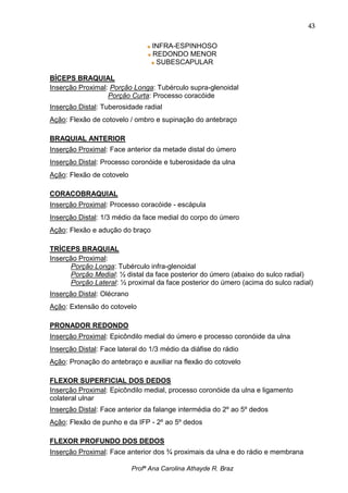43

                                  INFRA-ESPINHOSO
                                  REDONDO MENOR
                                   SUBESCAPULAR

BÍCEPS BRAQUIAL
Inserção Proximal: Porção Longa: Tubérculo supra-glenoidal
                  Porção Curta: Processo coracóide
Inserção Distal: Tuberosidade radial
Ação: Flexão de cotovelo / ombro e supinação do antebraço

BRAQUIAL ANTERIOR
Inserção Proximal: Face anterior da metade distal do úmero
Inserção Distal: Processo coronóide e tuberosidade da ulna
Ação: Flexão de cotovelo

CORACOBRAQUIAL
Inserção Proximal: Processo coracóide - escápula
Inserção Distal: 1/3 médio da face medial do corpo do úmero
Ação: Flexão e adução do braço

TRÍCEPS BRAQUIAL
Inserção Proximal:
      Porção Longa: Tubérculo infra-glenoidal
      Porção Medial: ½ distal da face posterior do úmero (abaixo do sulco radial)
      Porção Lateral: ½ proximal da face posterior do úmero (acima do sulco radial)
Inserção Distal: Olécrano
Ação: Extensão do cotovelo

PRONADOR REDONDO
Inserção Proximal: Epicôndilo medial do úmero e processo coronóide da ulna
Inserção Distal: Face lateral do 1/3 médio da diáfise do rádio
Ação: Pronação do antebraço e auxiliar na flexão do cotovelo

FLEXOR SUPERFICIAL DOS DEDOS
Inserção Proximal: Epicôndilo medial, processo coronóide da ulna e ligamento
colateral ulnar
Inserção Distal: Face anterior da falange intermédia do 2º ao 5º dedos
Ação: Flexão de punho e da IFP - 2º ao 5º dedos

FLEXOR PROFUNDO DOS DEDOS
Inserção Proximal: Face anterior dos ¾ proximais da ulna e do rádio e membrana

                            Profª Ana Carolina Athayde R. Braz
 