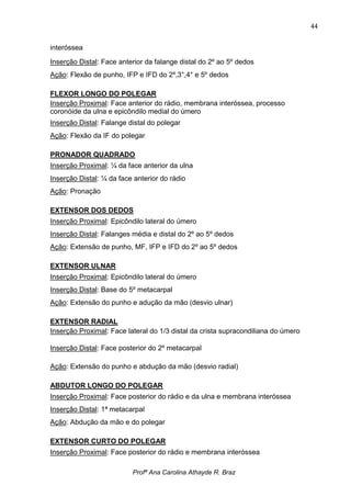 44


interóssea

Inserção Distal: Face anterior da falange distal do 2º ao 5º dedos
Ação: Flexão de punho, IFP e IFD do 2º,3°,4° e 5º dedos

FLEXOR LONGO DO POLEGAR
Inserção Proximal: Face anterior do rádio, membrana interóssea, processo
coronóide da ulna e epicôndilo medial do úmero
Inserção Distal: Falange distal do polegar
Ação: Flexão da IF do polegar

PRONADOR QUADRADO
Inserção Proximal: ¼ da face anterior da ulna
Inserção Distal: ¼ da face anterior do rádio
Ação: Pronação

EXTENSOR DOS DEDOS
Inserção Proximal: Epicôndilo lateral do úmero
Inserção Distal: Falanges média e distal do 2º ao 5º dedos
Ação: Extensão de punho, MF, IFP e IFD do 2º ao 5º dedos

EXTENSOR ULNAR
Inserção Proximal: Epicôndilo lateral do úmero
Inserção Distal: Base do 5º metacarpal
Ação: Extensão do punho e adução da mão (desvio ulnar)

EXTENSOR RADIAL
Inserção Proximal: Face lateral do 1/3 distal da crista supracondiliana do úmero

Inserção Distal: Face posterior do 2º metacarpal

Ação: Extensão do punho e abdução da mão (desvio radial)

ABDUTOR LONGO DO POLEGAR
Inserção Proximal: Face posterior do rádio e da ulna e membrana interóssea
Inserção Distal: 1ª metacarpal
Ação: Abdução da mão e do polegar

EXTENSOR CURTO DO POLEGAR
Inserção Proximal: Face posterior do rádio e membrana interóssea

                          Profª Ana Carolina Athayde R. Braz
 