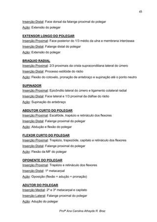 45


Inserção Distal: Face dorsal da falange proximal do polegar
Ação: Extensão do polegar

EXTENSOR LONGO DO POLEGAR
Inserção Proximal: Face posterior do 1/3 médio da ulna e membrana interóssea
Inserção Distal: Falange distal do polegar
Ação: Extensão do polegar

BRAQUIO RADIAL
Inserção Proximal: 2/3 proximais da crista supracondiliana lateral do úmero
Inserção Distal: Processo estilóide do rádio
Ação: Flexão do cotovelo, pronação de antebraço e supinação até o ponto neutro

SUPINADOR
Inserção Proximal: Epicôndilo lateral do úmero e ligamento colateral radial
Inserção Distal: Face lateral e 1/3 proximal da diáfise do rádio
Ação: Supinação do antebraço

ABDUTOR CURTO DO POLEGAR
Inserção Proximal: Escafóide, trapézio e retináculo dos flexores
Inserção Distal: Falange proximal do polegar
Ação: Abdução e flexão do polegar

FLEXOR CURTO DO POLEGAR
Inserção Proximal: Trapézio, trapezóide, capitato e retináculo dos flexores
Inserção Distal: Falange proximal do polegar
Ação: Flexão da MF do polegar

OPONENTE DO POLEGAR
Inserção Proximal: Trapézio e retináculo dos flexores
Inserção Distal: 1º metacarpal
Ação: Oposição (flexão + adução + pronação)

ADUTOR DO POLEGAR
Inserção Medial: 2º e 3º metacarpal e capitato
Inserção Lateral: Falange proximal do polegar
Ação: Adução do polegar

                           Profª Ana Carolina Athayde R. Braz
 