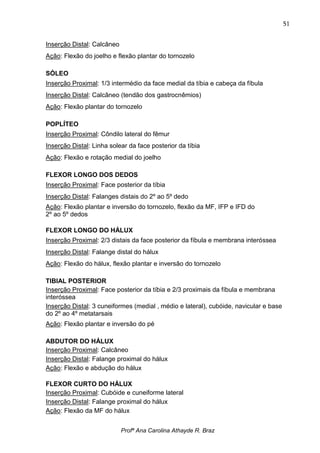 51


Inserção Distal: Calcâneo
Ação: Flexão do joelho e flexão plantar do tornozelo

SÓLEO
Inserção Proximal: 1/3 intermédio da face medial da tíbia e cabeça da fíbula
Inserção Distal: Calcâneo (tendão dos gastrocnêmios)
Ação: Flexão plantar do tornozelo

POPLÍTEO
Inserção Proximal: Côndilo lateral do fêmur
Inserção Distal: Linha solear da face posterior da tíbia
Ação: Flexão e rotação medial do joelho

FLEXOR LONGO DOS DEDOS
Inserção Proximal: Face posterior da tíbia
Inserção Distal: Falanges distais do 2º ao 5º dedo
Ação: Flexão plantar e inversão do tornozelo, flexão da MF, IFP e IFD do
2º ao 5º dedos

FLEXOR LONGO DO HÁLUX
Inserção Proximal: 2/3 distais da face posterior da fíbula e membrana interóssea
Inserção Distal: Falange distal do hálux
Ação: Flexão do hálux, flexão plantar e inversão do tornozelo

TIBIAL POSTERIOR
Inserção Proximal: Face posterior da tíbia e 2/3 proximais da fíbula e membrana
interóssea
Inserção Distal: 3 cuneiformes (medial , médio e lateral), cubóide, navicular e base
do 2º ao 4º metatarsais
Ação: Flexão plantar e inversão do pé

ABDUTOR DO HÁLUX
Inserção Proximal: Calcâneo
Inserção Distal: Falange proximal do hálux
Ação: Flexão e abdução do hálux

FLEXOR CURTO DO HÁLUX
Inserção Proximal: Cubóide e cuneiforme lateral
Inserção Distal: Falange proximal do hálux
Ação: Flexão da MF do hálux


                            Profª Ana Carolina Athayde R. Braz
 