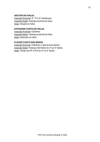 52



ADUTOR DO HÁLUX
Inserção Proximal: 2º, 3º e 4º metatarsais
Inserção Distal: Falange proximal do hálux
Ação: Adução do hálux

EXTENSOR CURTO DO HÁLUX
Inserção Proximal: Calcâneo
Inserção Distal: Falange proximal do hálux
Ação: Extensão do hálux

FLEXOR CURTO DOS DEDOS
Inserção Proximal: Calcâneo e aponeurose plantar
Inserção Distal: Falange intermédia do 2º ao 5º dedos
Ação: Flexão da IFP e IFD do 2º ao 5º dedos




                         Profª Ana Carolina Athayde R. Braz
 