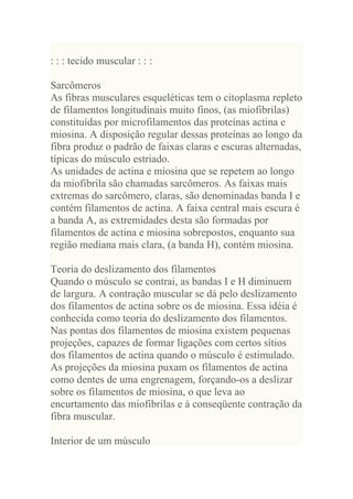 : : : tecido muscular : : :

Sarcômeros
As fibras musculares esqueléticas tem o citoplasma repleto
de filamentos longitudinais muito finos, (as miofibrilas)
constituídas por microfilamentos das proteínas actina e
miosina. A disposição regular dessas proteínas ao longo da
fibra produz o padrão de faixas claras e escuras alternadas,
típicas do músculo estriado.
As unidades de actina e miosina que se repetem ao longo
da miofibrila são chamadas sarcômeros. As faixas mais
extremas do sarcômero, claras, são denominadas banda I e
contém filamentos de actina. A faixa central mais escura é
a banda A, as extremidades desta são formadas por
filamentos de actina e miosina sobrepostos, enquanto sua
região mediana mais clara, (a banda H), contém miosina.

Teoria do deslizamento dos filamentos
Quando o músculo se contrai, as bandas I e H diminuem
de largura. A contração muscular se dá pelo deslizamento
dos filamentos de actina sobre os de miosina. Essa idéia é
conhecida como teoria do deslizamento dos filamentos.
Nas pontas dos filamentos de miosina existem pequenas
projeções, capazes de formar ligações com certos sítios
dos filamentos de actina quando o músculo é estimulado.
As projeções da miosina puxam os filamentos de actina
como dentes de uma engrenagem, forçando-os a deslizar
sobre os filamentos de miosina, o que leva ao
encurtamento das miofibrilas e à conseqüente contração da
fibra muscular.

Interior de um músculo
 
