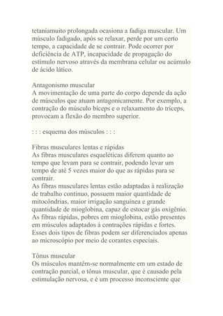 tetaniamuito prolongada ocasiona a fadiga muscular. Um
músculo fadigado, após se relaxar, perde por um certo
tempo, a capacidade de se contrair. Pode ocorrer por
deficiência de ATP, incapacidade de propagação do
estímulo nervoso através da membrana celular ou acúmulo
de ácido lático.

Antagonismo muscular
A movimentação de uma parte do corpo depende da ação
de músculos que atuam antagonicamente. Por exemplo, a
contração do músculo bíceps e o relaxamento do tríceps,
provocam a flexão do membro superior.

: : : esquema dos músculos : : :

Fibras musculares lentas e rápidas
As fibras musculares esqueléticas diferem quanto ao
tempo que levam para se contrair, podendo levar um
tempo de até 5 vezes maior do que as rápidas para se
contrair.
As fibras musculares lentas estão adaptadas à realização
de trabalho contínuo, possuem maior quantidade de
mitocôndrias, maior irrigação sanguínea e grande
quantidade de mioglobina, capaz de estocar gás oxigênio.
As fibras rápidas, pobres em mioglobina, estão presentes
em músculos adaptados à contrações rápidas e fortes.
Esses dois tipos de fibras podem ser diferenciados apenas
ao microscópio por meio de corantes especiais.

Tônus muscular
Os músculos mantêm-se normalmente em um estado de
contração parcial, o tônus muscular, que é causado pela
estimulação nervosa, e é um processo inconsciente que
 