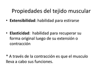• Extensibilidad: habilidad para estirarse
• Elasticidad: habilidad para recuperar su
forma original luego de su extensión o
contracción
* A través de la contracción es que el musculo
lleva a cabo sus funciones.
Propiedades del tejido muscular
 
