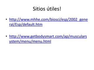 Sitios útiles!
• http://www.mhhe.com/biosci/esp/2002_gene
ral/Esp/default.htm
• http://www.getbodysmart.com/ap/musculars
ystem/menu/menu.html
 